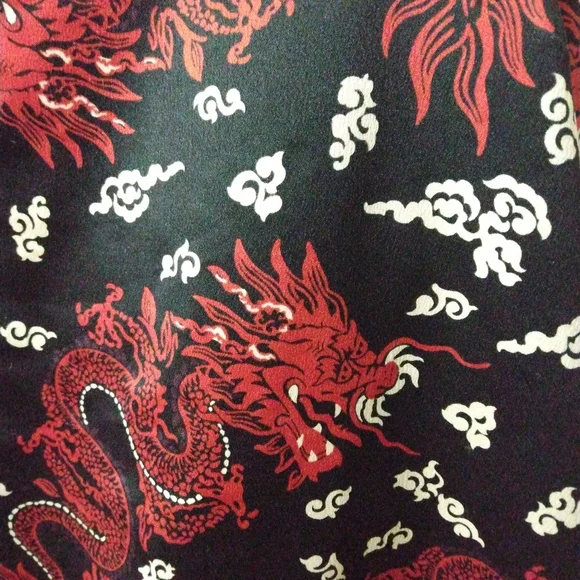 Zara large dragon minidress - Picture 5 of 7